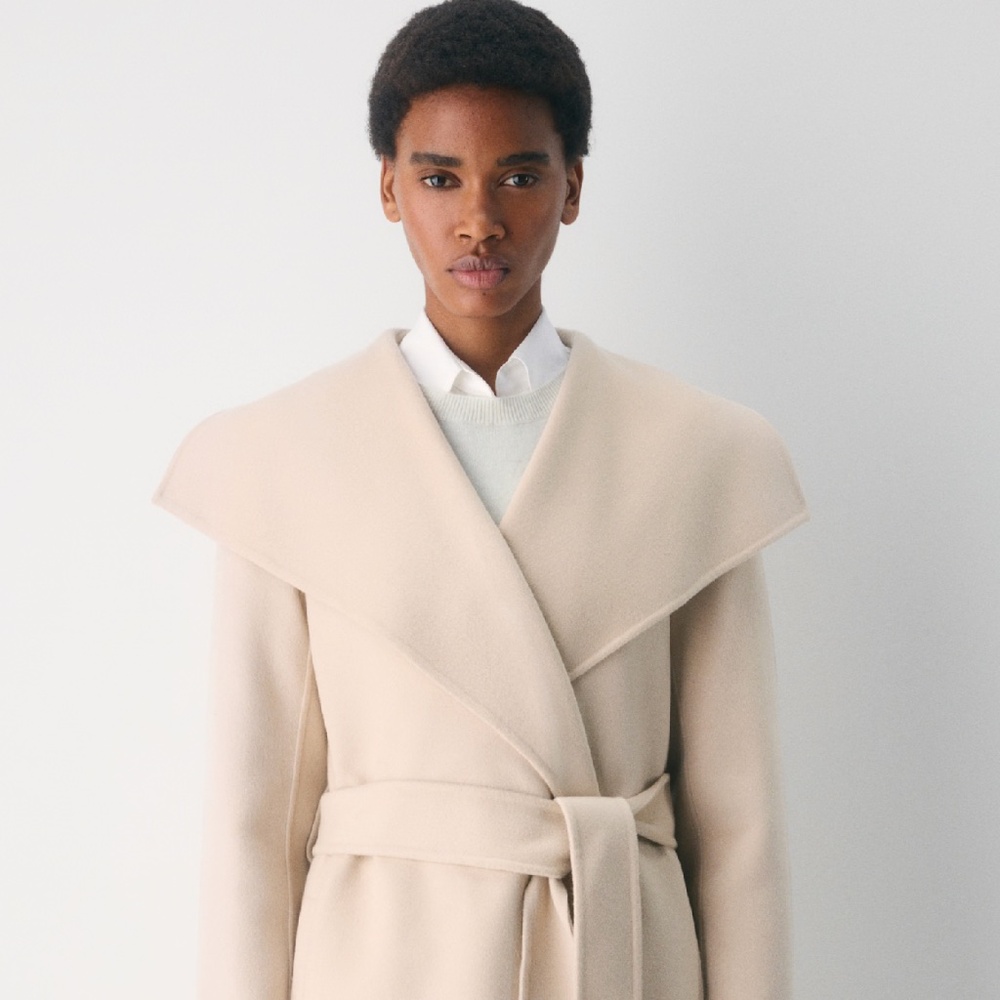 Babaton Aritzia Montage Coat